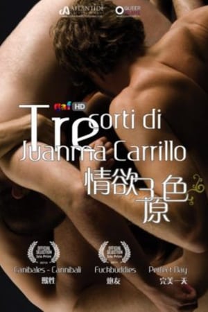 Poster Juanma Carrillo 3 Erotic Shorts 2011