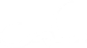 سلمى — Logos 2