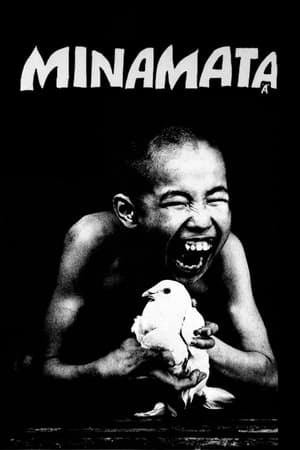 Minamata: The Victims and Their World poster