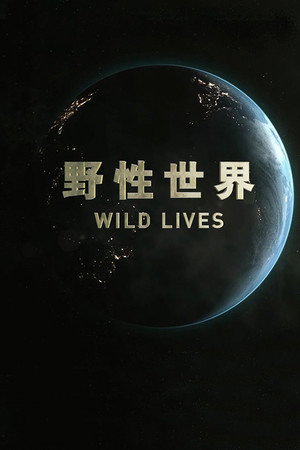 野性世界