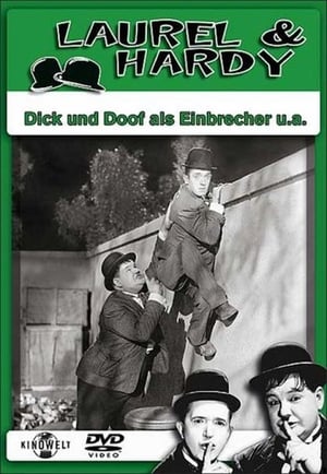 Image Dick und Doof als Einbrecher