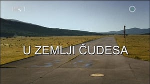 U zemlji čudesa