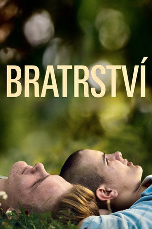 Bratrství