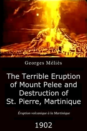 The Terrible Eruption of Mount Pelee and Destruction of St. Pierre, Martinique poster