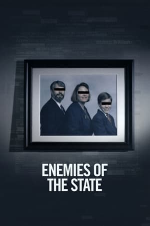 watch-Enemies of the State