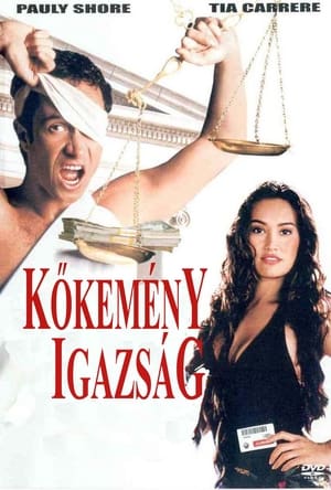 Poster Kőkemény igazság 1995