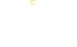 Dolphins Up Close with Bertie Gregory