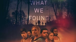 What We Found (2020)