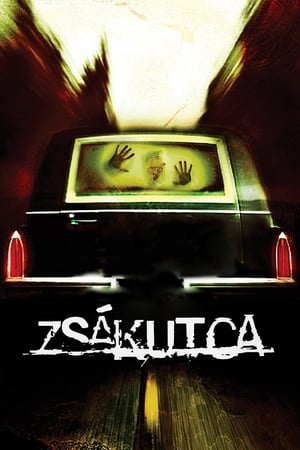 Poster Zsákutca 2003