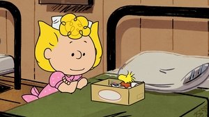 Camp Snoopy: 1×2