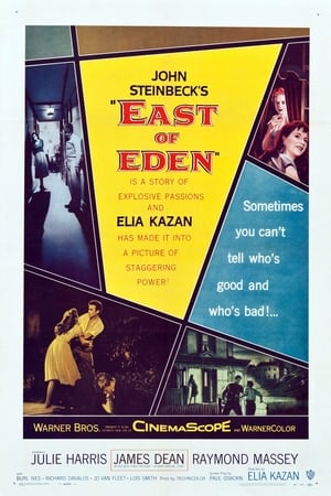 Click for trailer, plot details and rating of East Of Eden (1955)