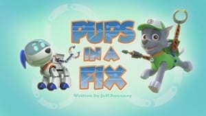 PAW Patrol Pups in a Fix