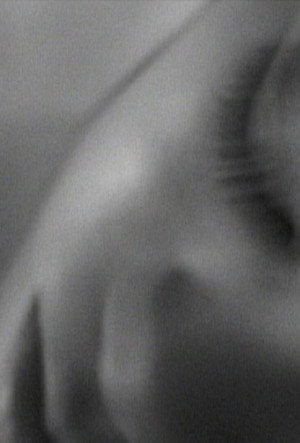 About Dream...