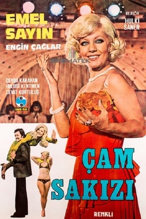 Poster Çam Sakızı (1974)