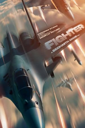 Fighter poster