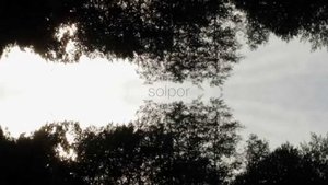 Solpor (C)