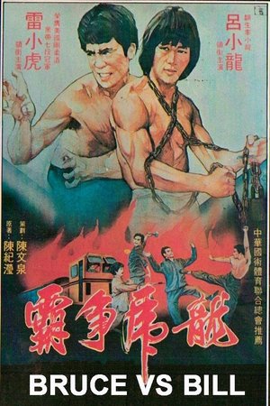 Poster Bruce Vs. Bill 1981