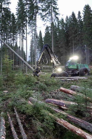 Vetenskapens värld: Slaget om skogen