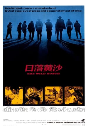 日落黄沙 (1969)