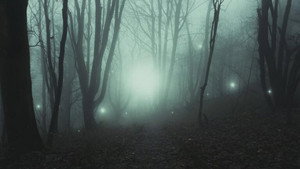 The Proof Is Out There: UnXplained Edition S2E10 still