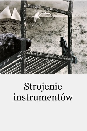 Image Strojenie instrumentów