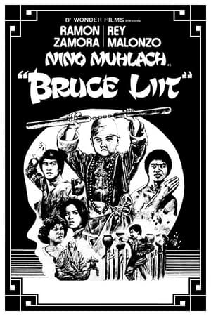 Poster Bruce Liit (1978)