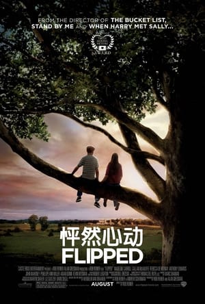 怦然心动 (2010)