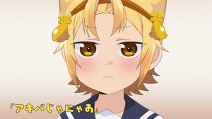 Yatogame-chan Kansatsu Nikki: 1×8