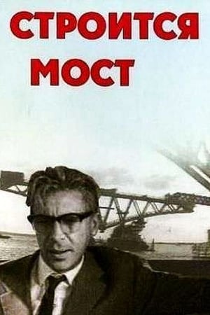 Poster Строится мост (1966)