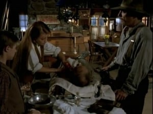 Dr. Quinn, Medicine Woman Hostage