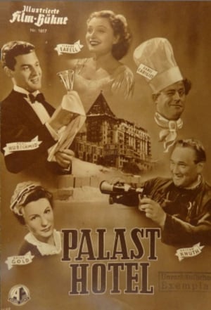 Palace Hotel poster