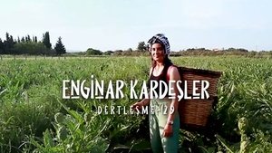 Episode 29