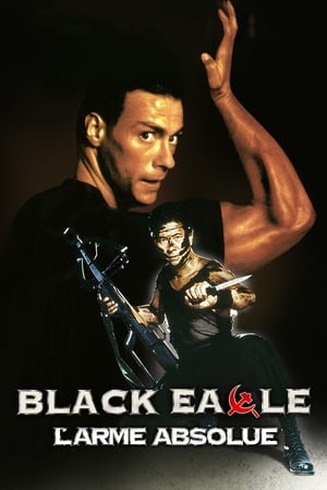Image Black Eagle : L'arme absolue