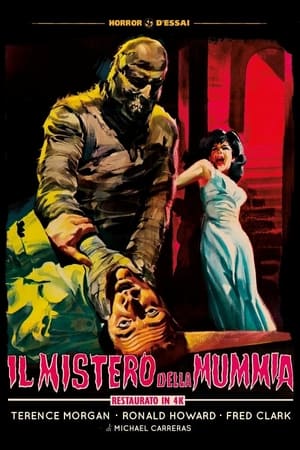 Poster Il mistero della mummia 1964