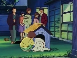 La sorpresa de Yotsuya. Cuando Maison Ikkoku desaparezca