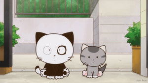 Uchitama! Have you seen my Tama?: 1×22