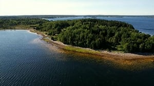 The Curse of Oak Island What Lies Below