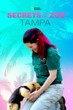 Poster Secrets of the Zoo: Tampa 2020