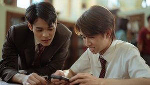 Shadow: 1×1