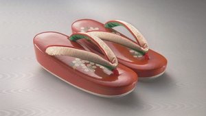 Footwear Culture: Dressing the Feet for Form and Function