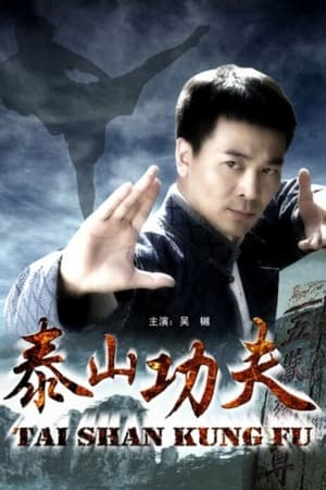 Poster Taishan Kung Fu 2009