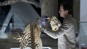 Hannibal: Stagione 2 x Episodio 9