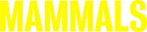 Mamíferos — Logos 1