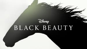 Black Beauty 2020