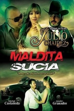 Poster Maldita sucia (2013)