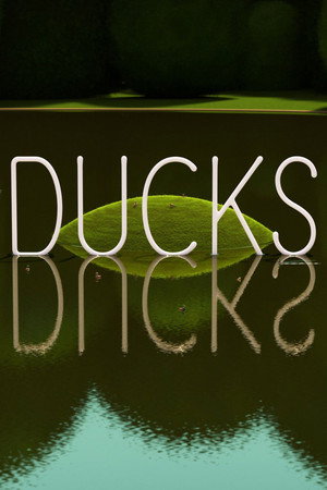 DUCKS