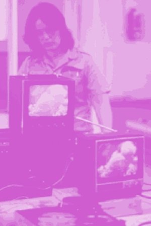 Poster Not For Sale: Feminism and Art in the USA during the 1970s 1998