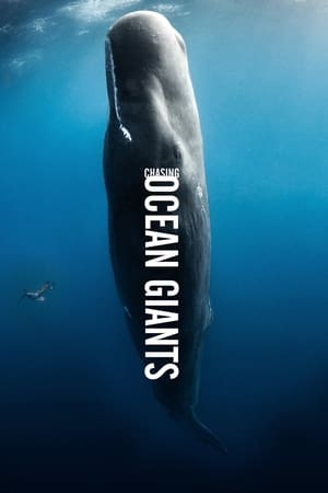 Chasing Ocean Giants