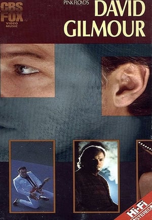 Poster David Gilmour: Live 1984 (1984)