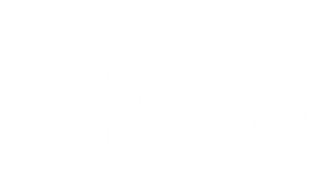 Love Lies Bleeding